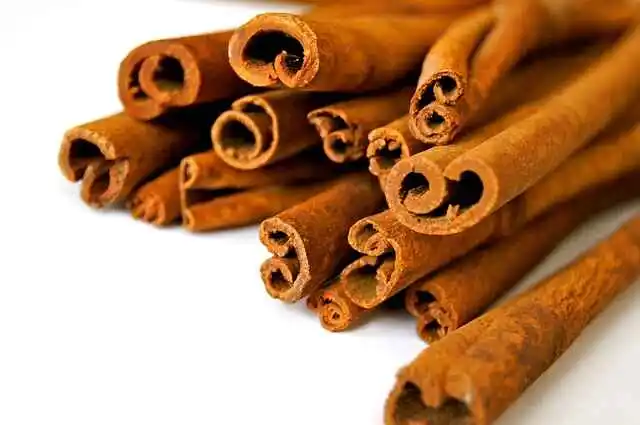 Are bully sticks safe for dogs