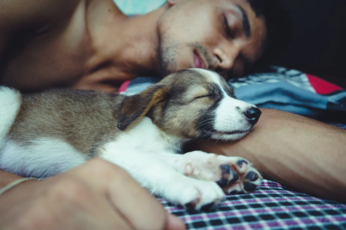 Is it ok to sleep with dog in bed