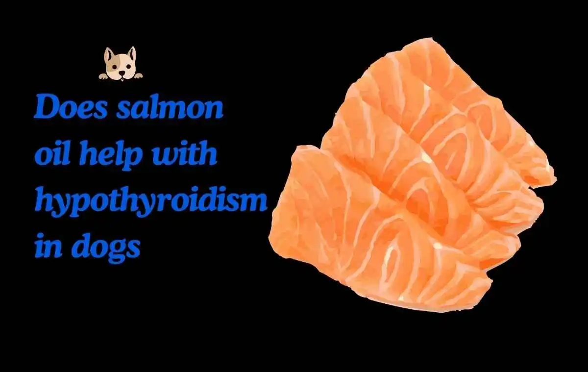 does salmon oil help with hypothyroidism in  dogs