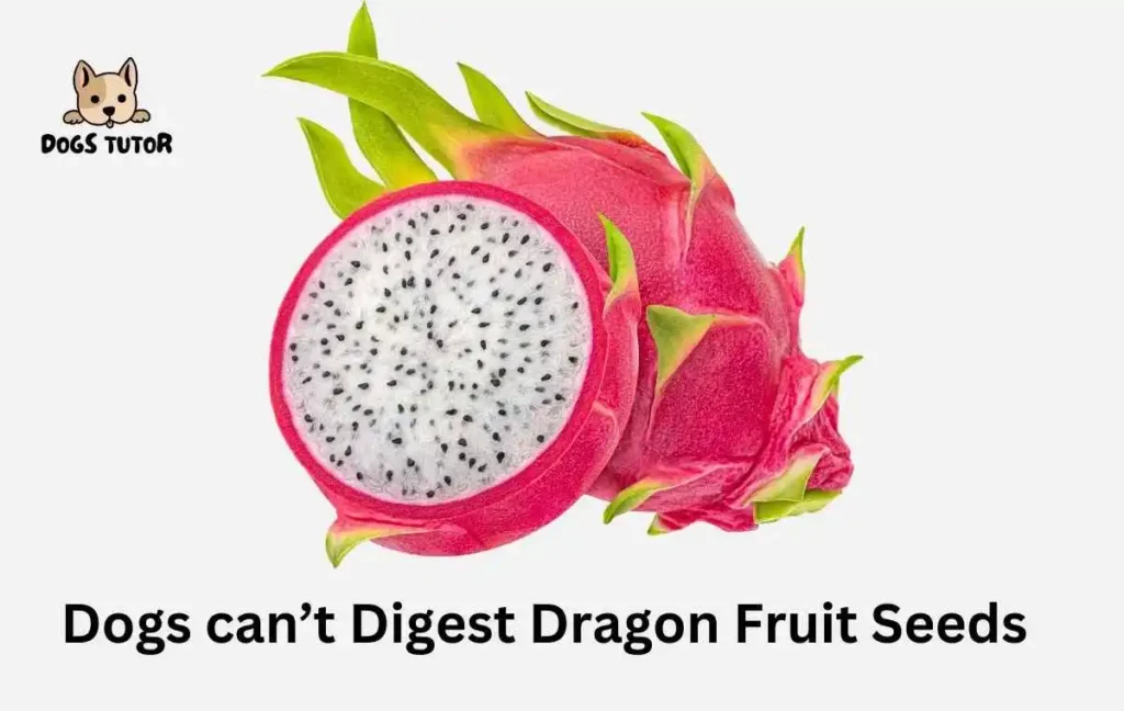 Can Dogs Eat Dragon Fruit Seeds