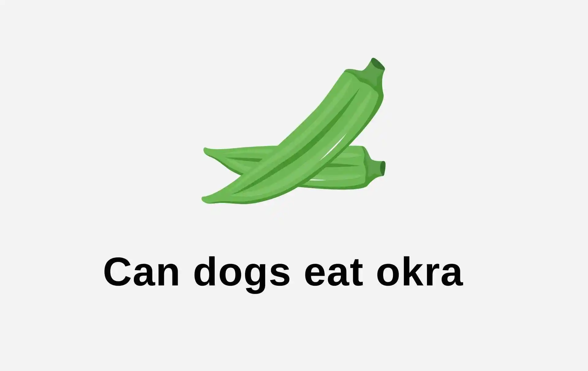 Can dogs eat okra