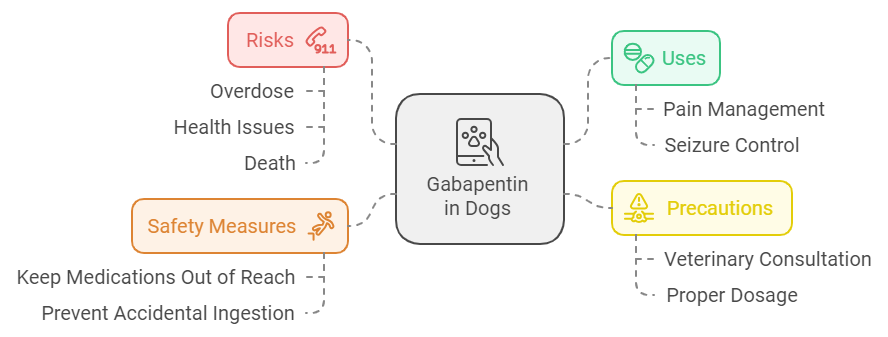 Can gabapentin kill a dog