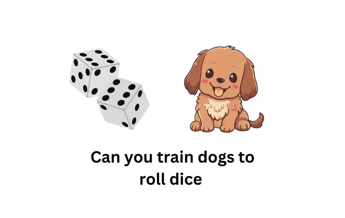 Can you train dogs to roll dice 