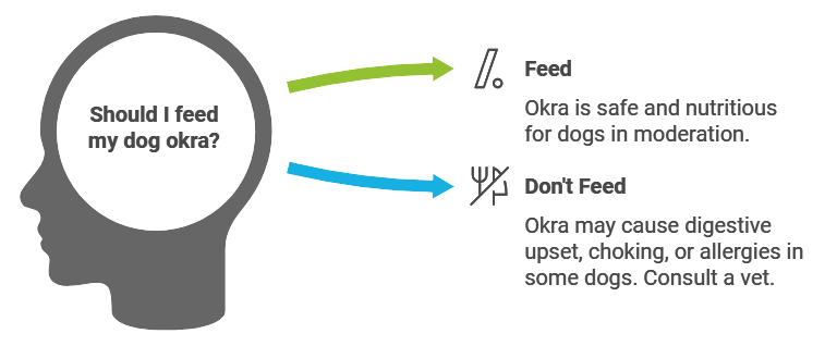 Risks and safety precautions of feeding okra for dogs
