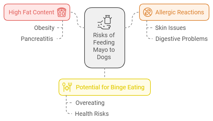 why not to feed mayo to dogs