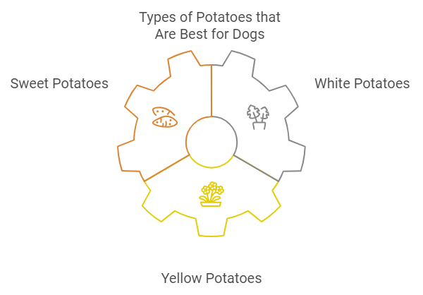 What Types of Potatoes Are Best for dogs