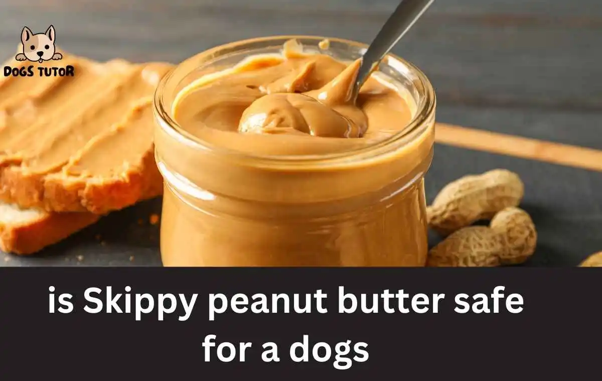 is Skippy peanut butter safe for a dogs