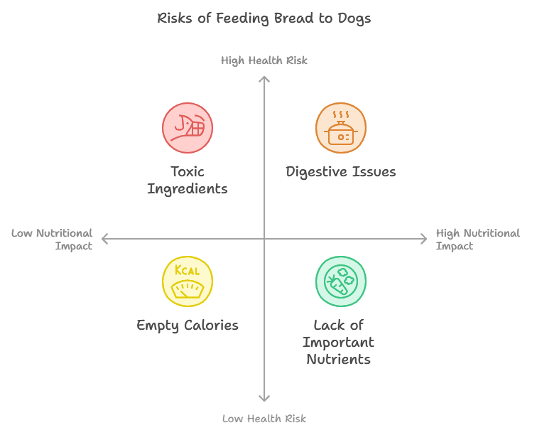 Risks of Feeding Bread to Dogs
