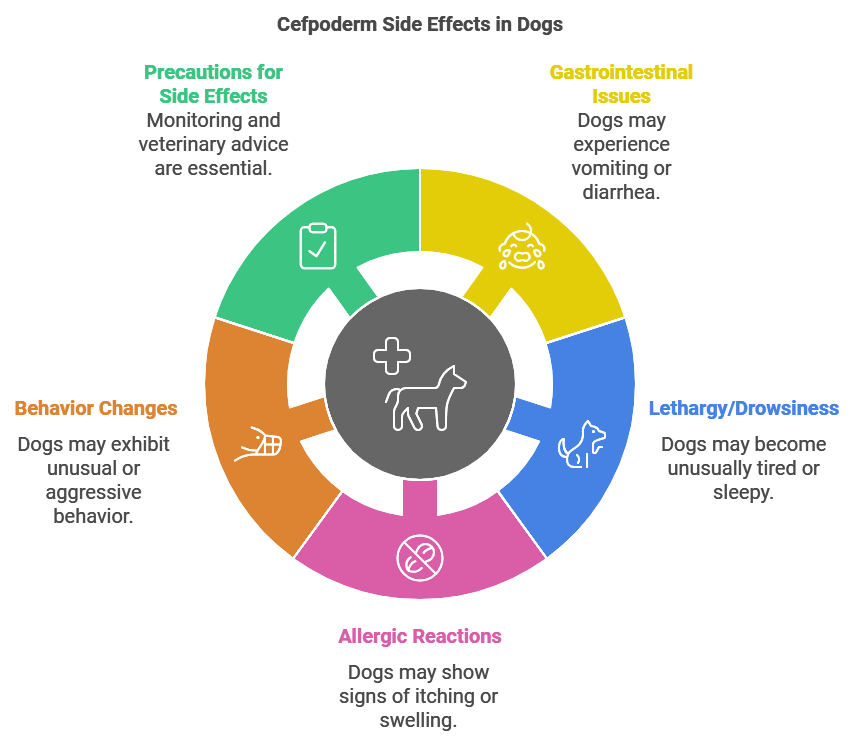 side effects of cefpoderm for dogs