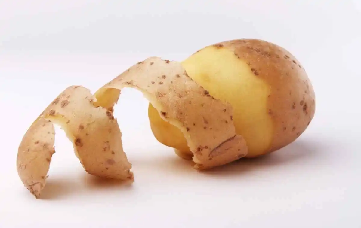 Can dogs eat potato peels