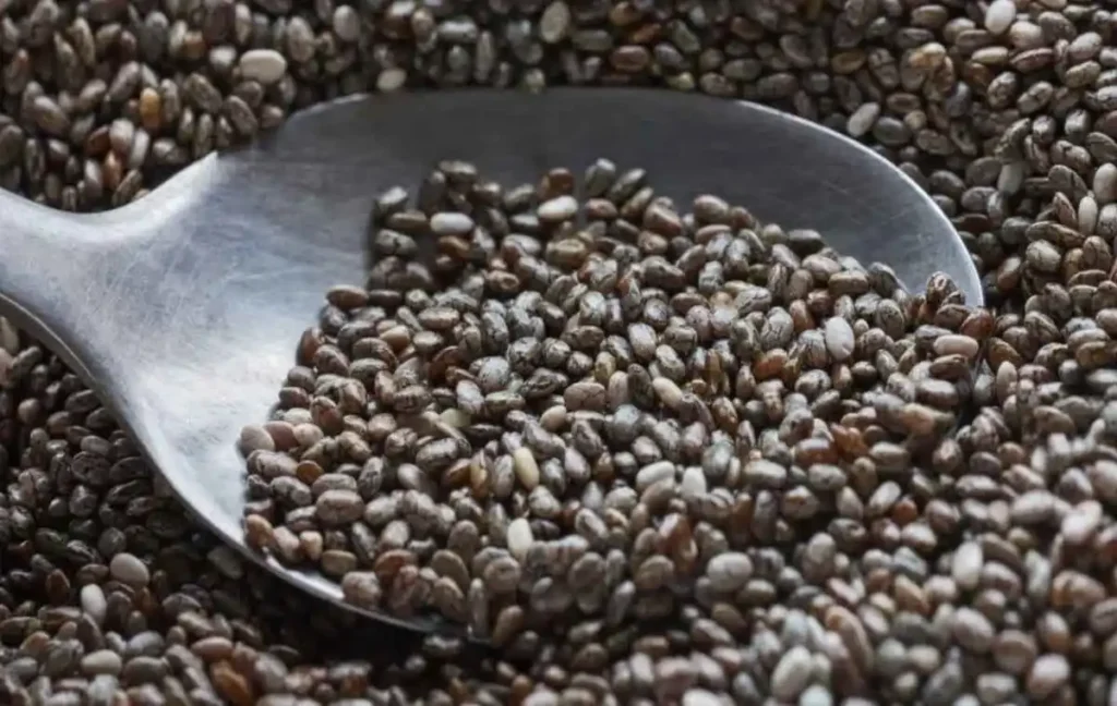 Health Benefits of Chia Seeds to Dogs