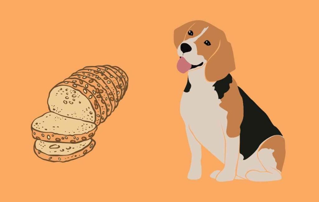 Benefits of Feeding Wheat Bread to Dogs