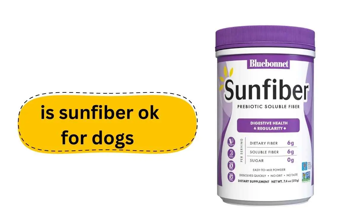 Is sunfiber ok for dogs Veterinarian Approve Fact